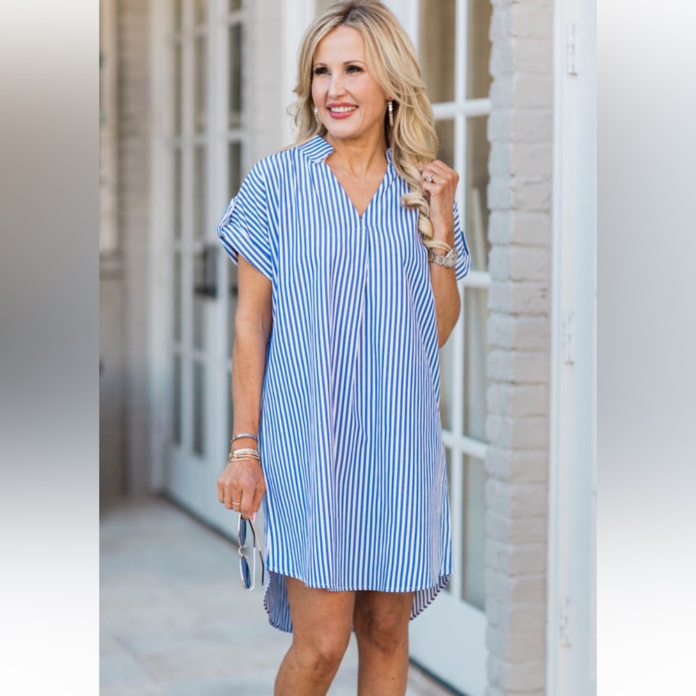 Avara blue striped shirt dress